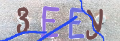 キャプチャ画像