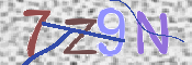 キャプチャ画像