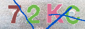キャプチャ画像