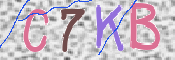 キャプチャ画像