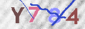 キャプチャ画像