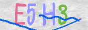 キャプチャ画像