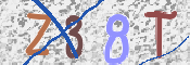 キャプチャ画像