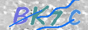キャプチャ画像