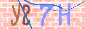キャプチャ画像