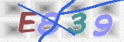 キャプチャ画像