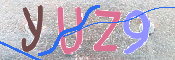 キャプチャ画像
