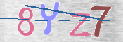 キャプチャ画像