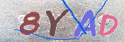 キャプチャ画像