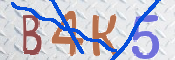 キャプチャ画像