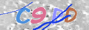 キャプチャ画像
