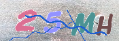 キャプチャ画像