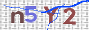 キャプチャ画像
