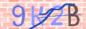キャプチャ画像