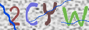 キャプチャ画像