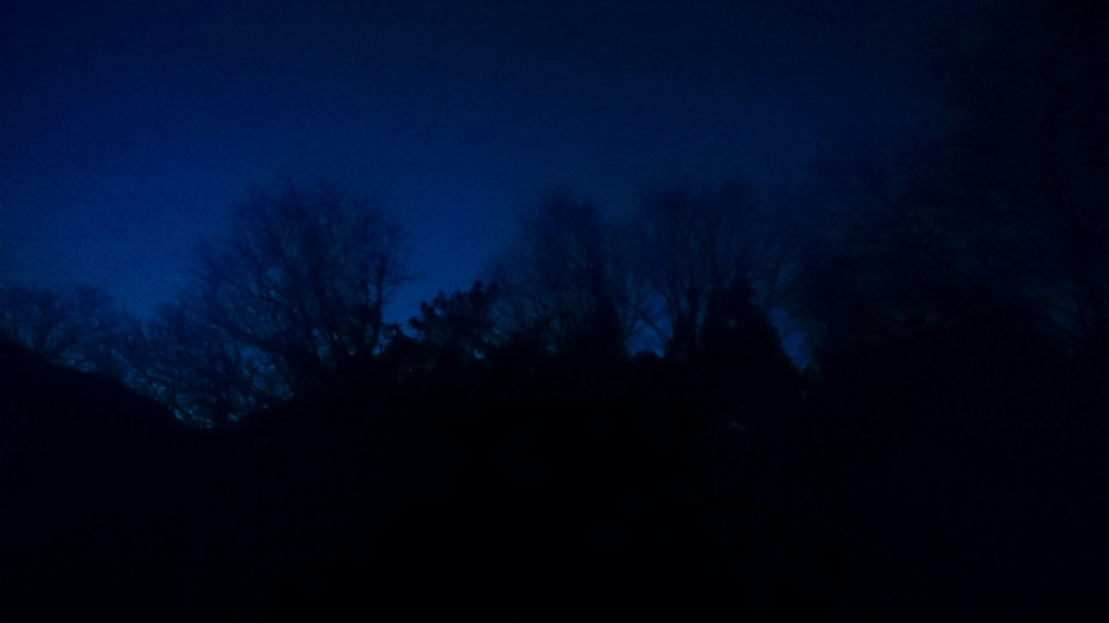 20170130_183028.jpg
