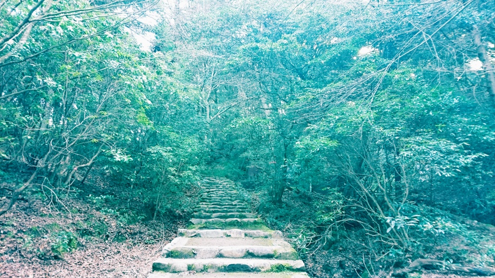 20170219_184903.jpg