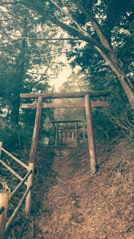 20170429_232713.JPG