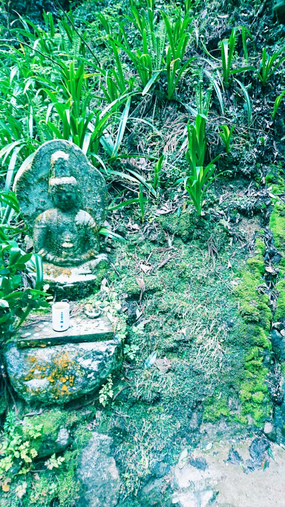 20170429_234638.JPG