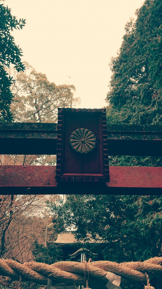 20190120_213732.JPG