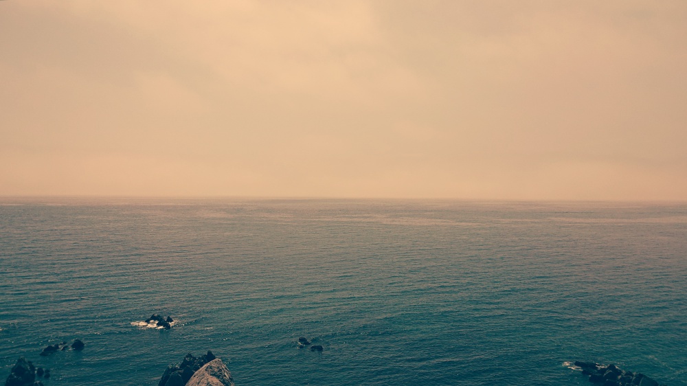 20190520_195307.JPG