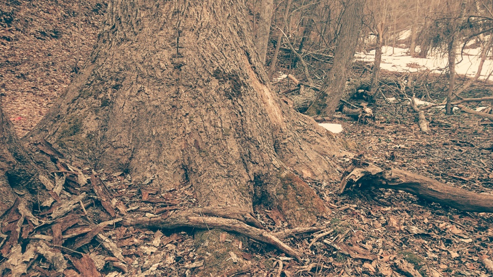 _20210405_175548