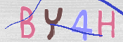 キャプチャ画像