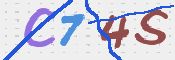 キャプチャ画像