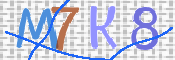 キャプチャ画像