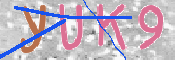 キャプチャ画像