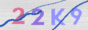 キャプチャ画像