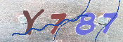 キャプチャ画像