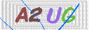 キャプチャ画像