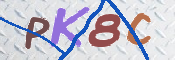 キャプチャ画像