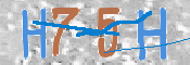 キャプチャ画像