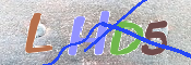キャプチャ画像