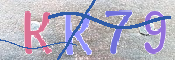 キャプチャ画像