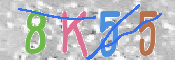 キャプチャ画像