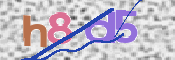 キャプチャ画像