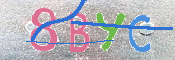 キャプチャ画像