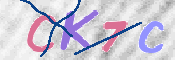 キャプチャ画像
