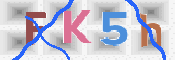 キャプチャ画像