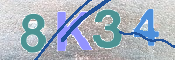 キャプチャ画像