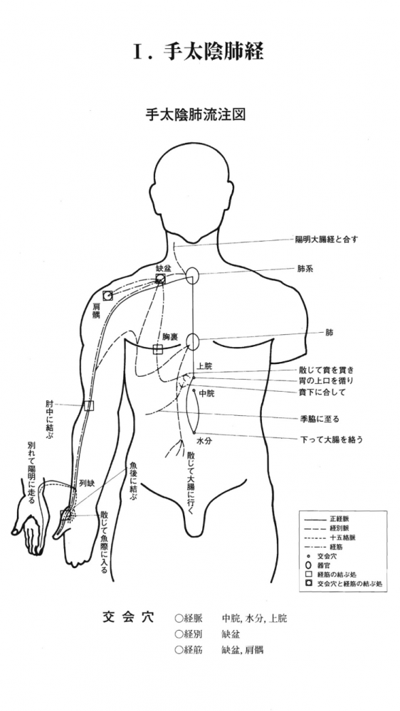 手太陰肺経