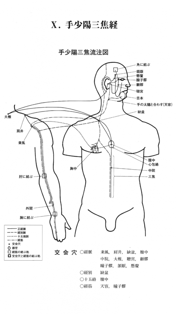手少陽三焦経