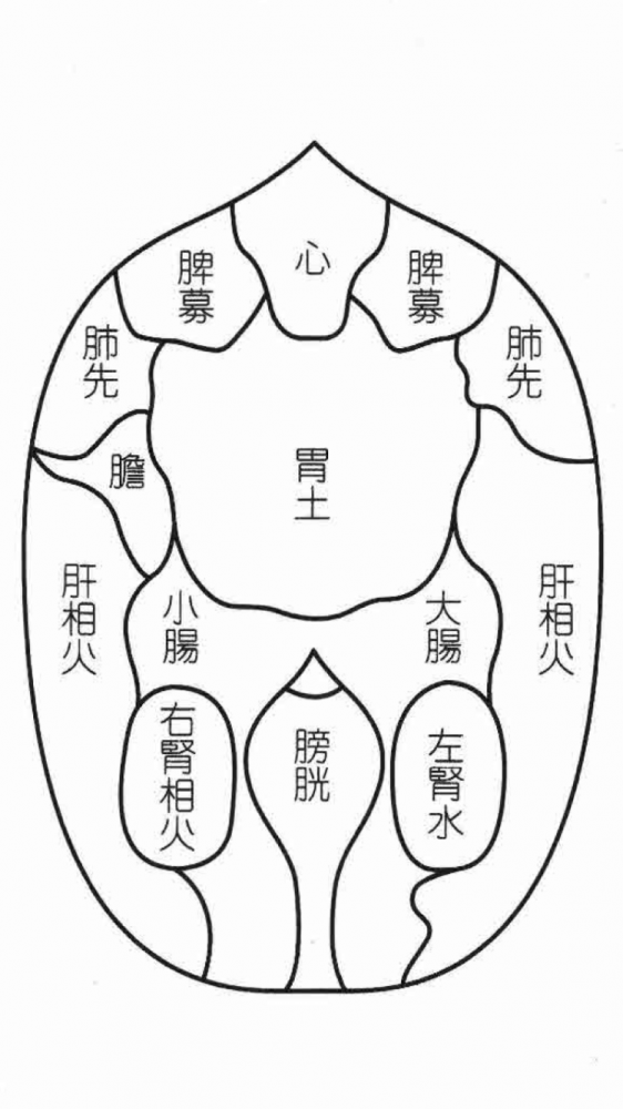 夢分流腹診図